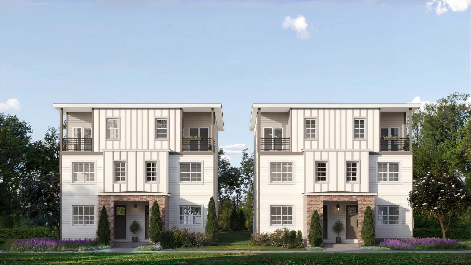 The Chadwick Plan 1