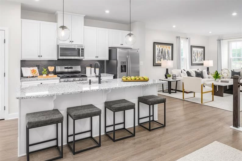 Spring Branch Townhomes (RH) in Smyrna, Tennessee — photo 4